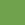 1049 Leaf Green